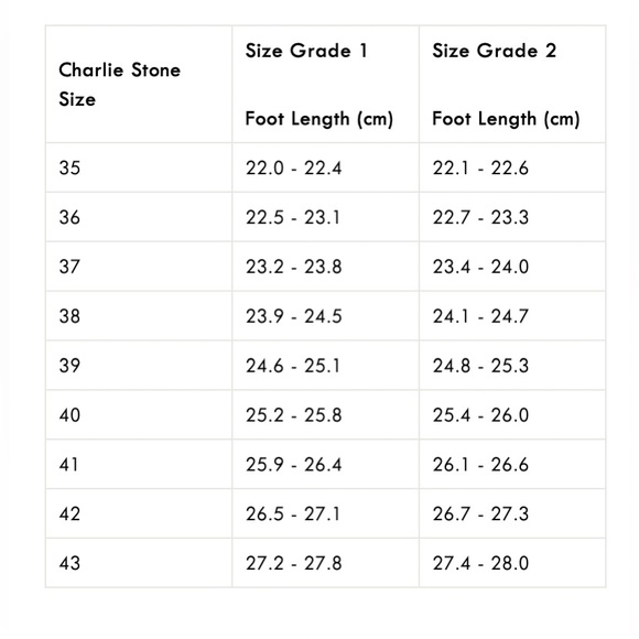 CHARLIE STONE ‘Boss’ Leather Ankle Booties in Black - Picture 11 of 16